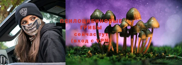 ПСИЛОЦИБИНОВЫЕ ГРИБЫ Богородицк